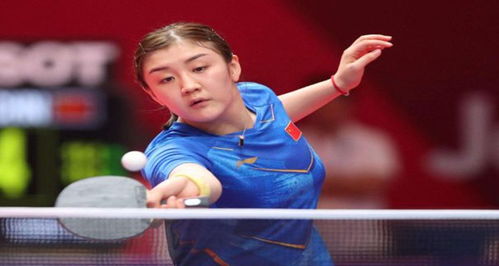 效地整合梅 效地整合梅