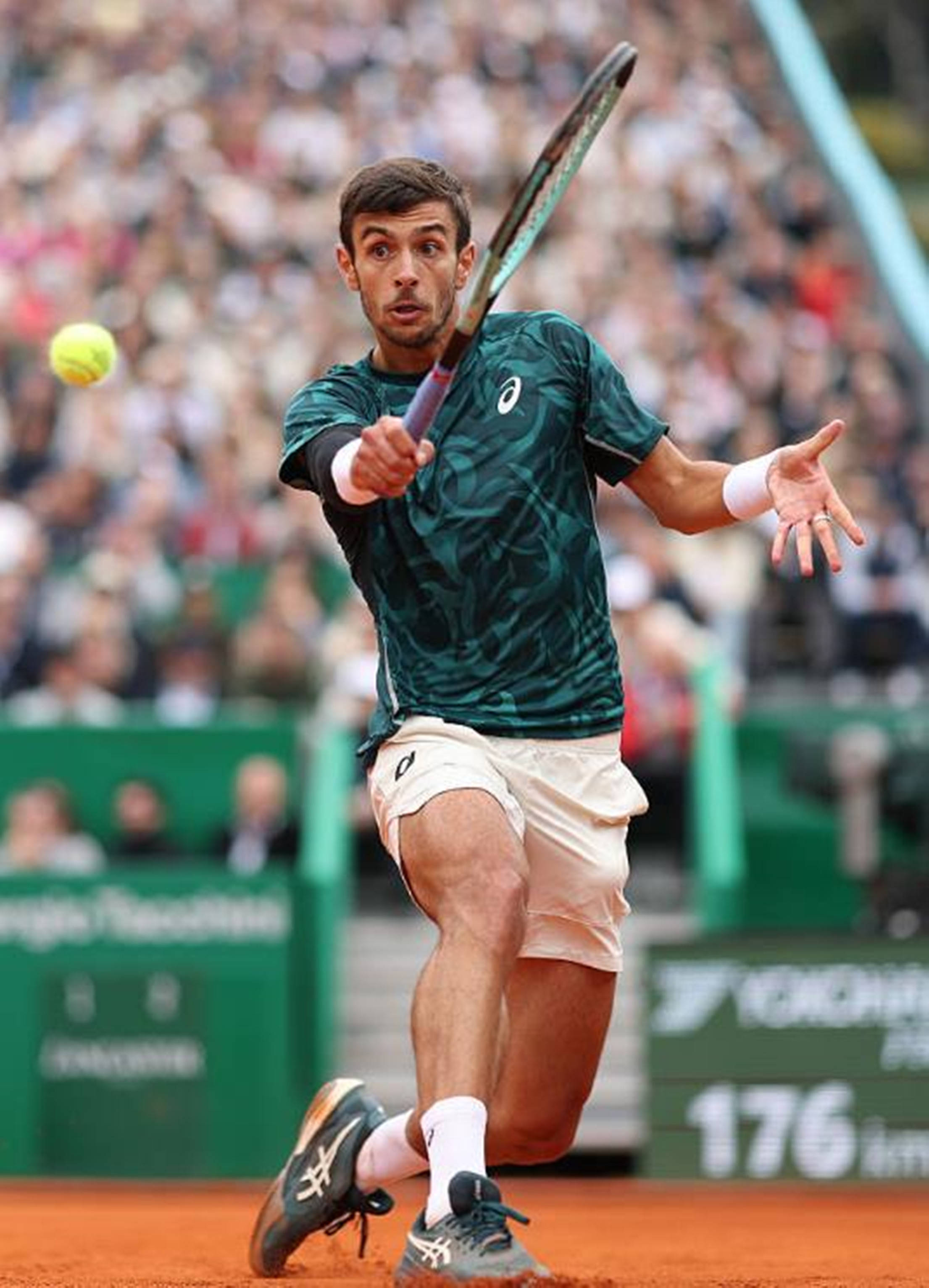 体系不可或 体系不可或