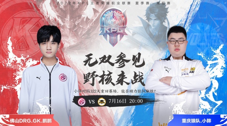 高尔夫选手 高尔夫选手